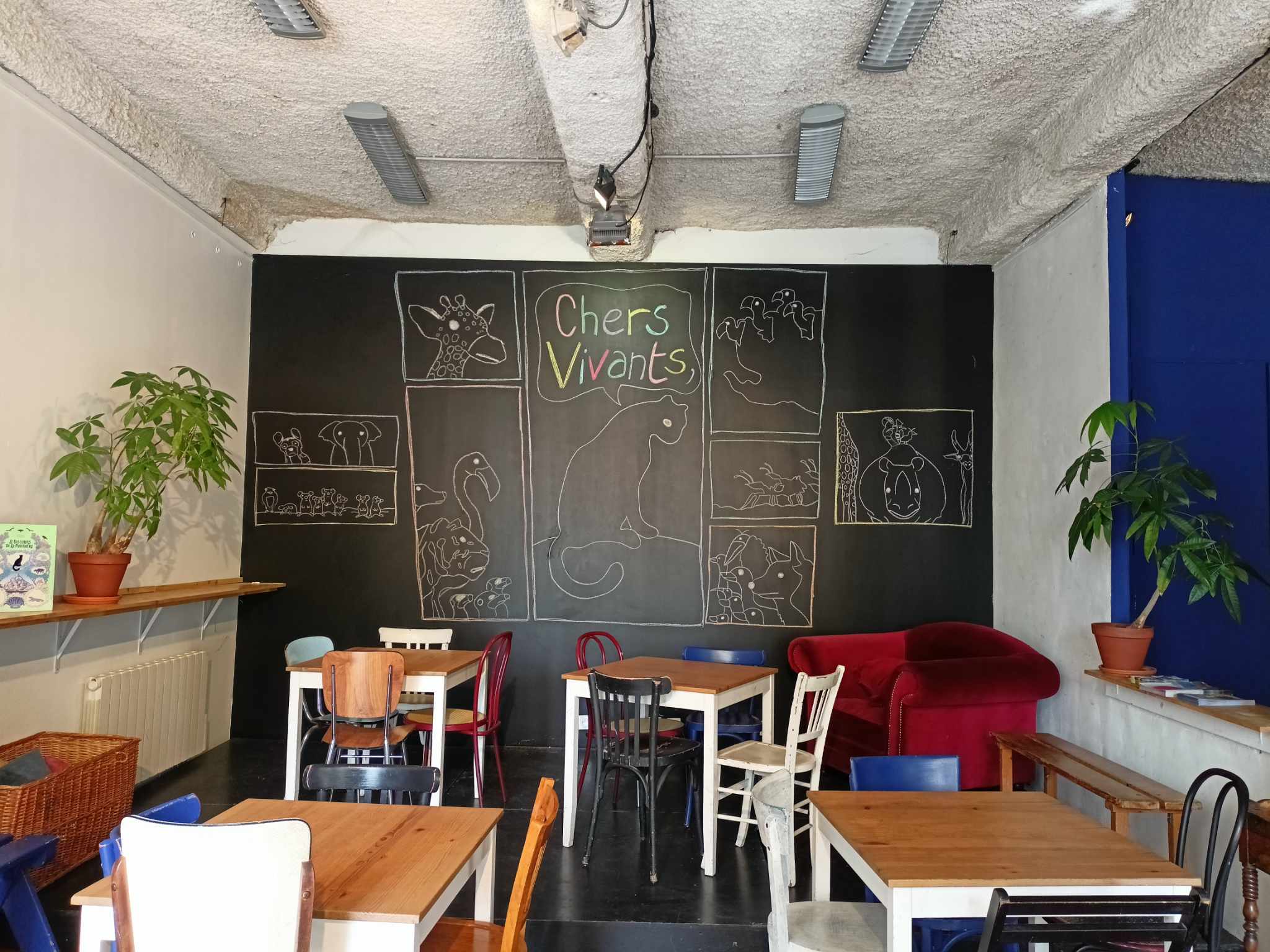 Clochards-celestes-location-salle d'accueil de face
